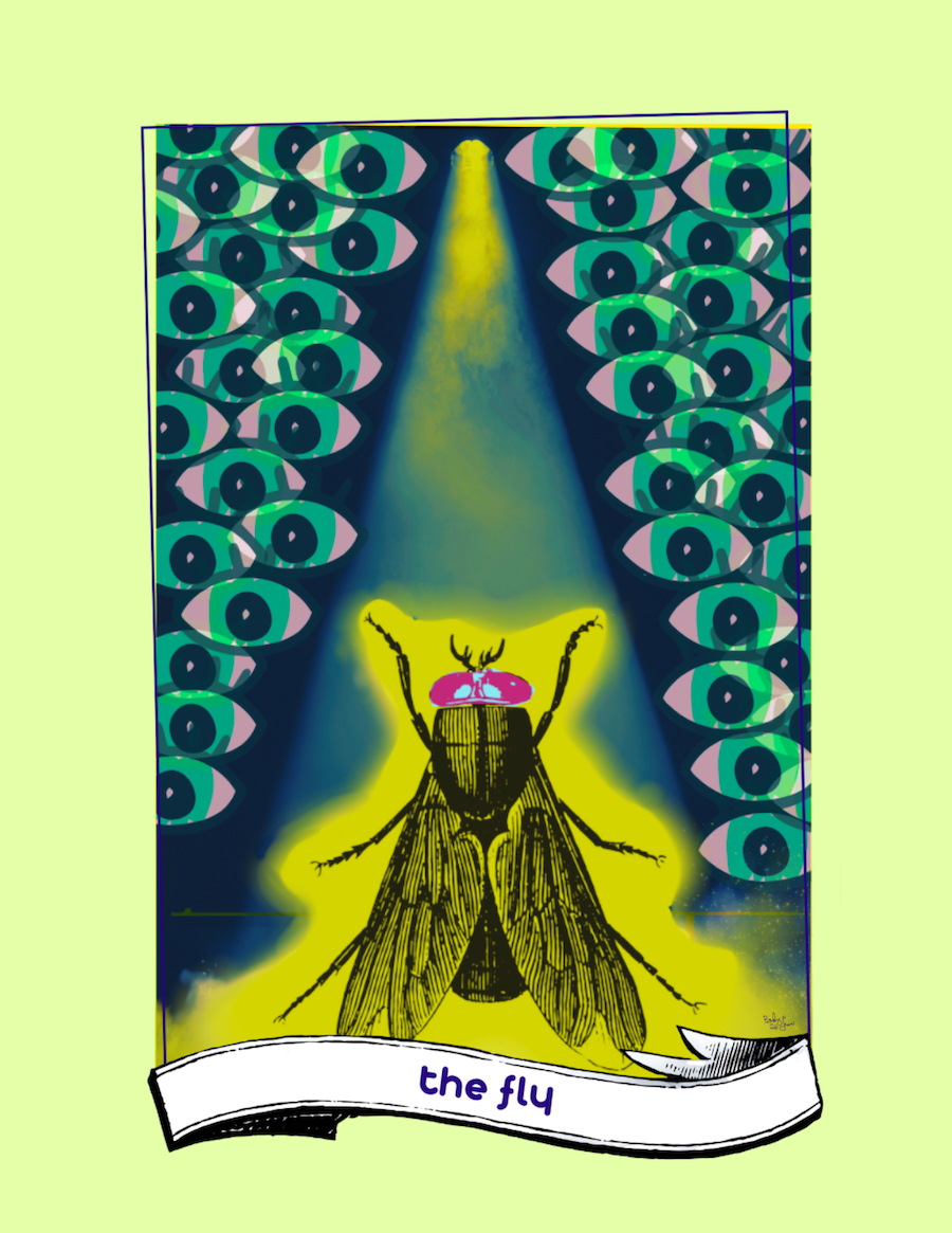 "The Fly" Oracle Borderless Print 8x10 - Digital Download